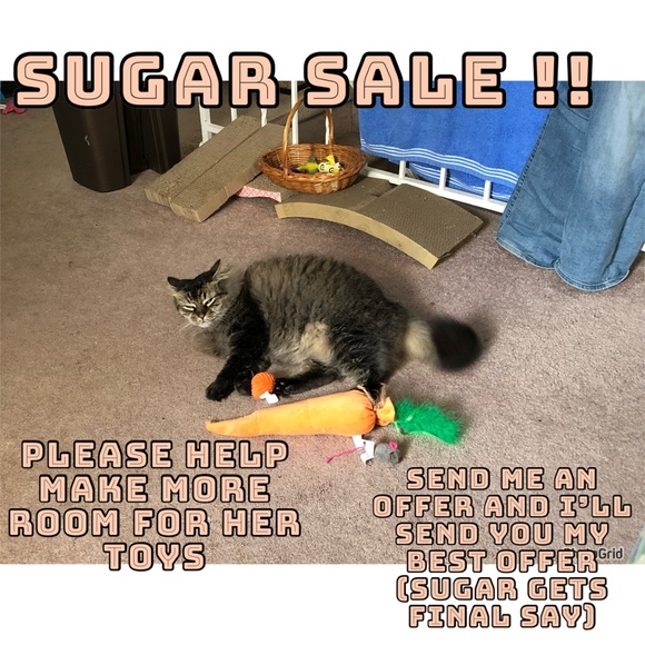 SUGAR SALE !! - Picture 1 of 1